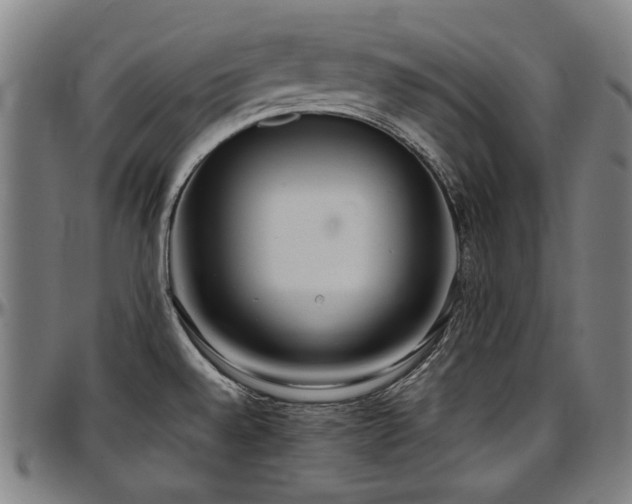 X0000097601528200802291231