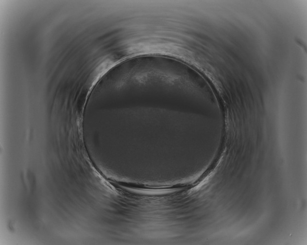 X0000097601529200802291231