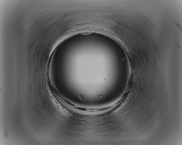 X0000097601530200802291231