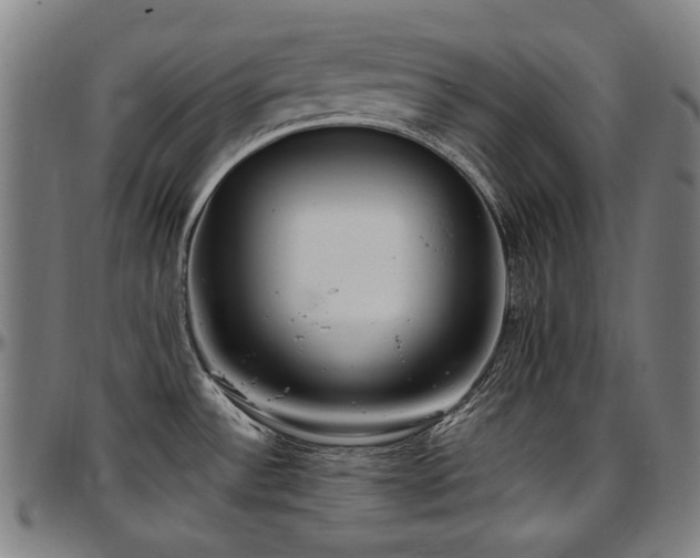 X0000097601532200802291231