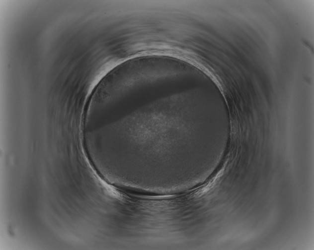 X0000097601533200802291231