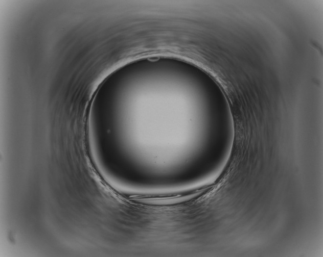 X0000097601534200802291231
