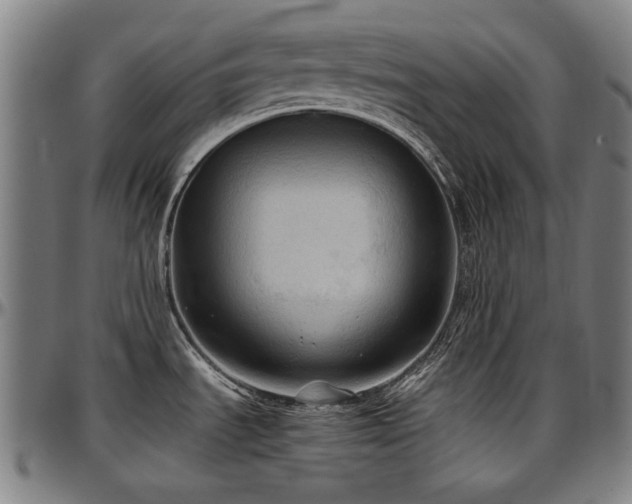 X0000097601535200802291231