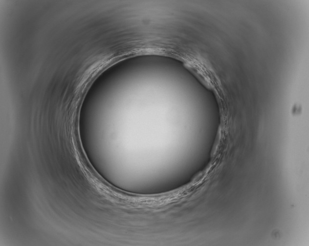 X0000097600001200803071439
