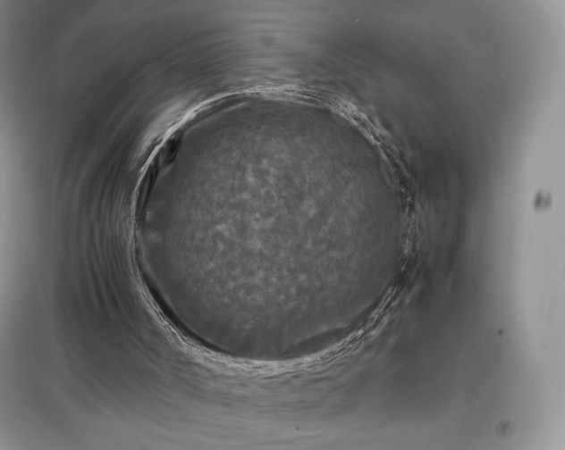 X0000097600002200803071439