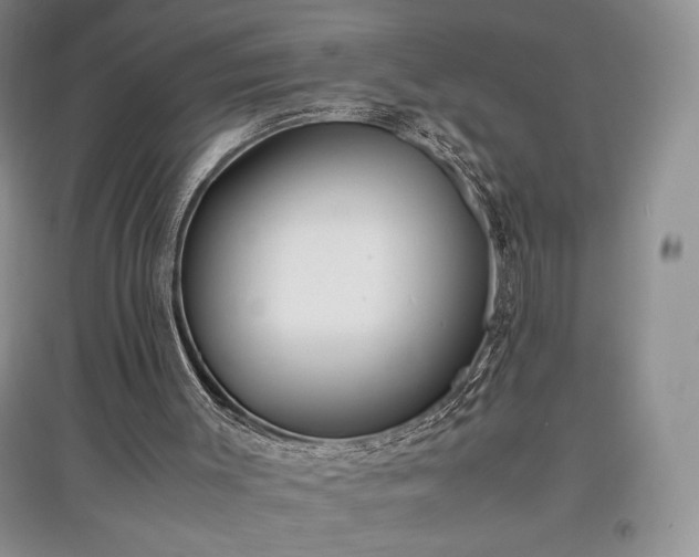 X0000097600003200803071439