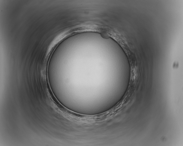 X0000097600004200803071439