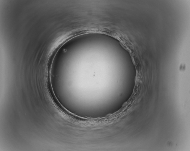 X0000097600005200803071439