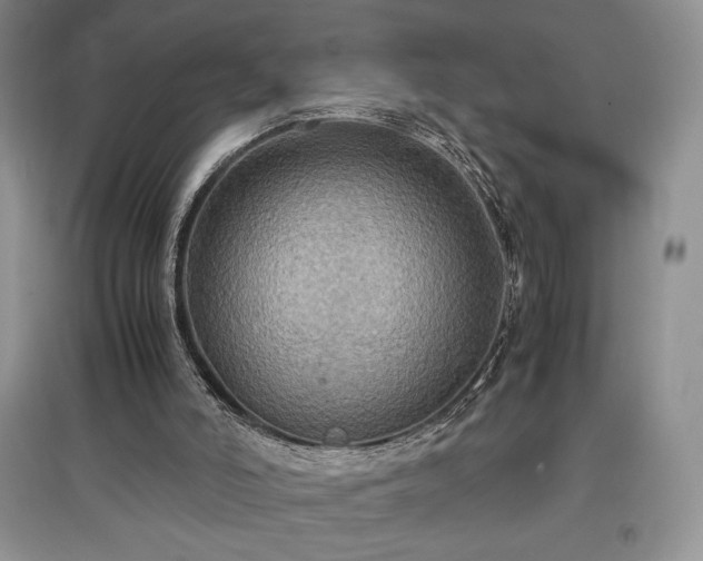 X0000097600006200803071439