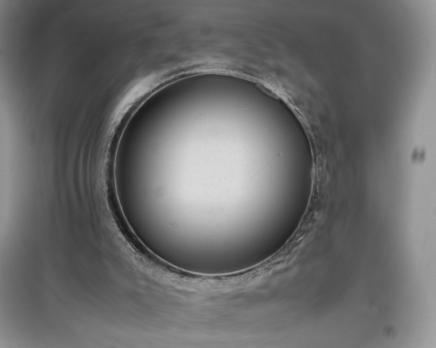 X0000097600007200803071439