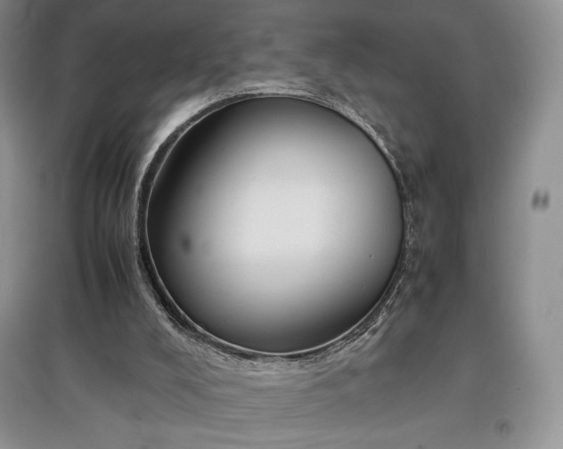 X0000097600008200803071438