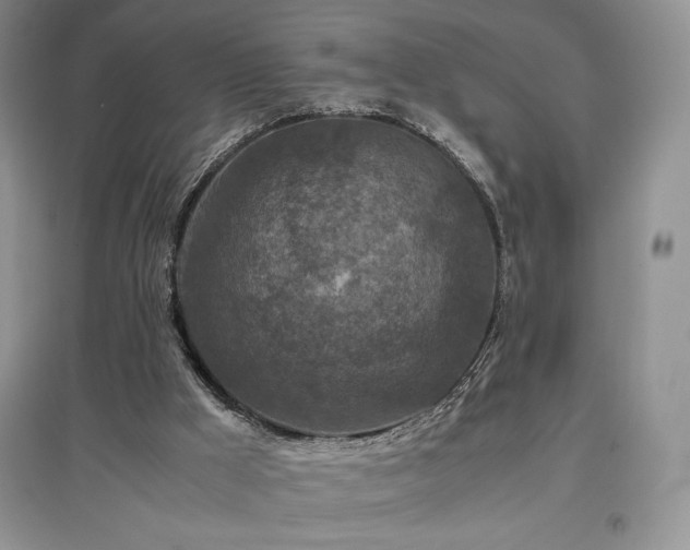 X0000097600009200803071438
