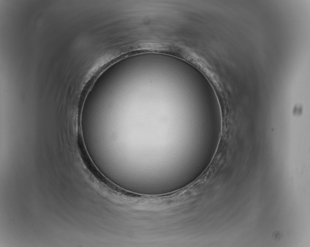 X0000097600011200803071438