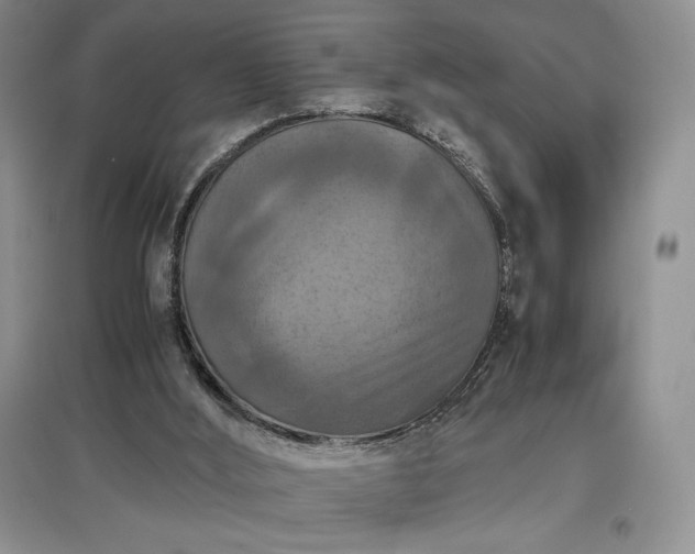 X0000097600012200803071438