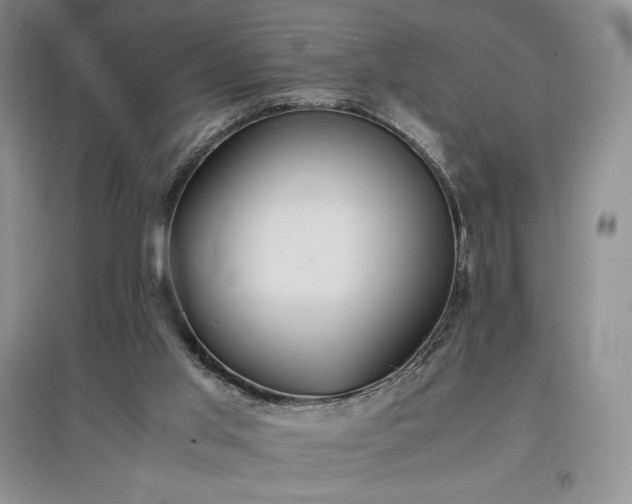X0000097600013200803071438