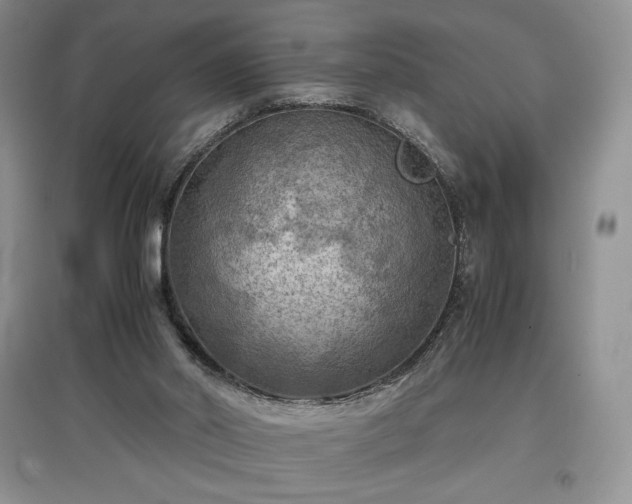 X0000097600014200803071438