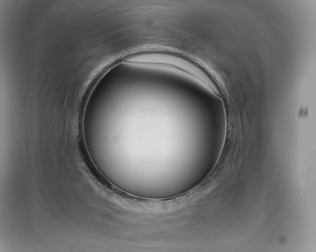 X0000097600015200803071438