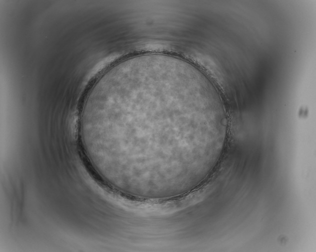 X0000097600016200803071438