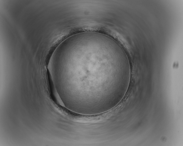 X0000097600017200803071438
