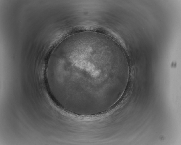 X0000097600018200803071438