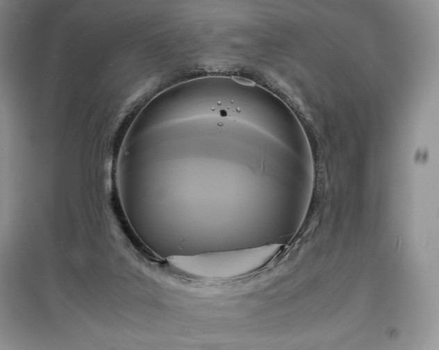 X0000097600019200803071438