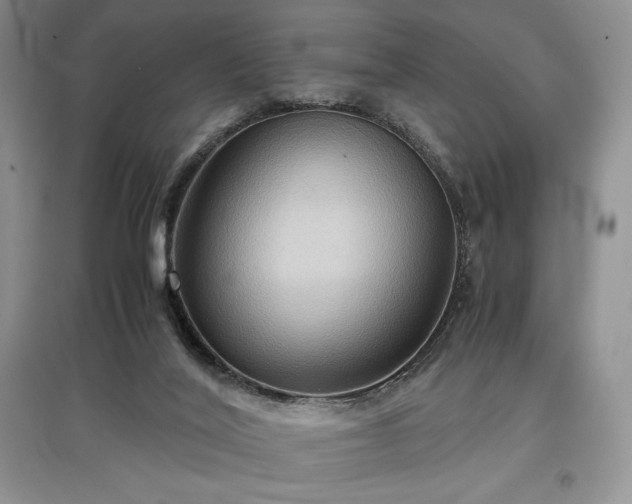 X0000097600020200803071438