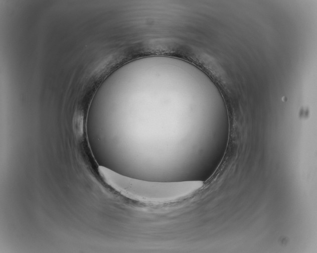 X0000097600021200803071438