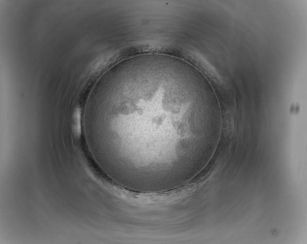 X0000097600022200803071438