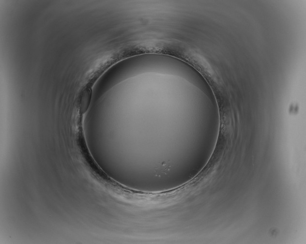 X0000097600023200803071438