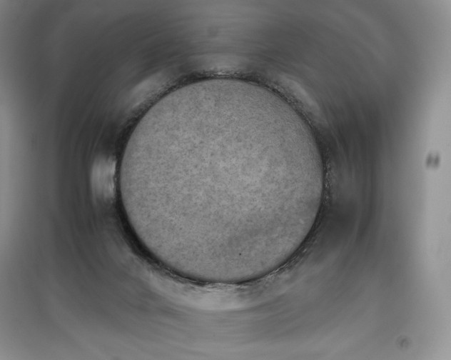 X0000097600024200803071438