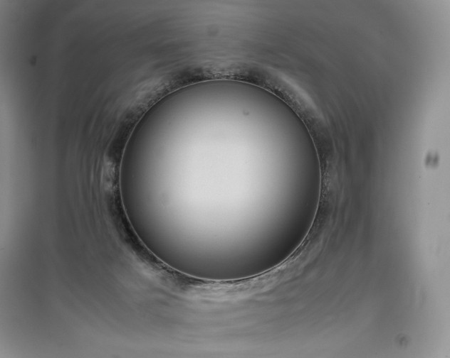 X0000097600025200803071438