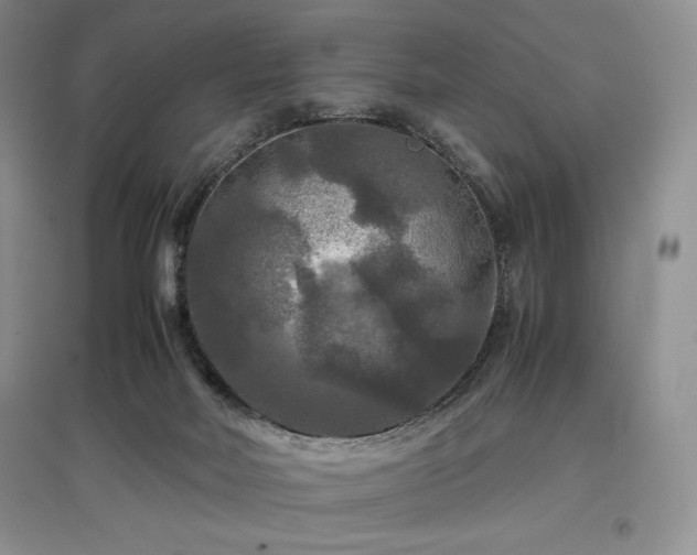 X0000097600026200803071438