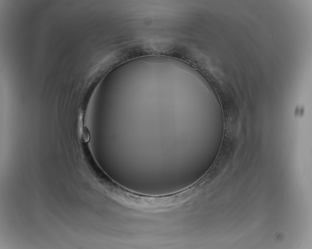 X0000097600027200803071438