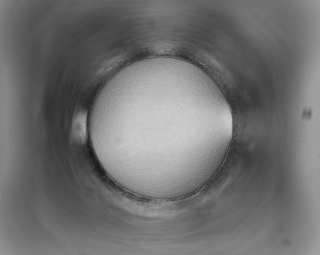 X0000097600028200803071438