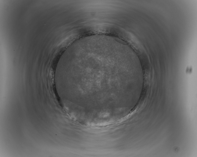 X0000097600029200803071438