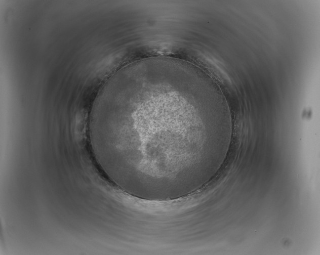 X0000097600030200803071438
