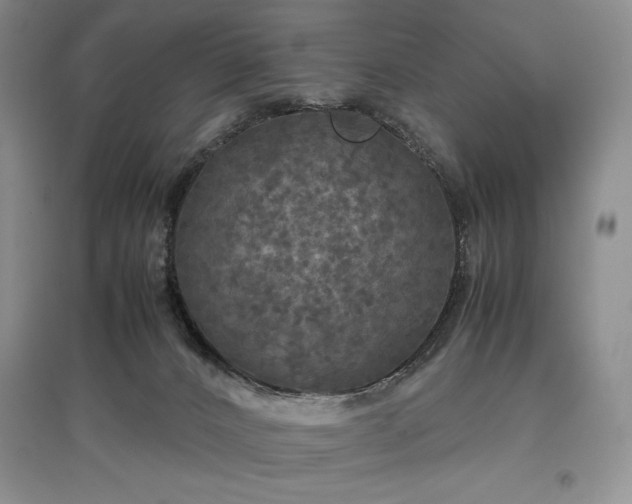 X0000097600032200803071438