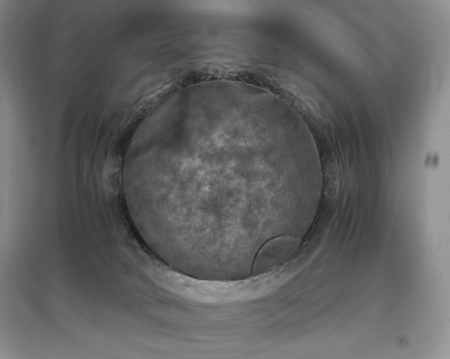 X0000097600034200803071438
