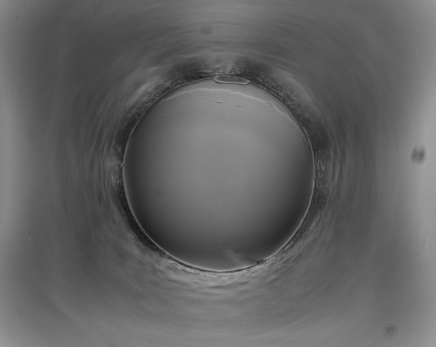 X0000097600035200803071438