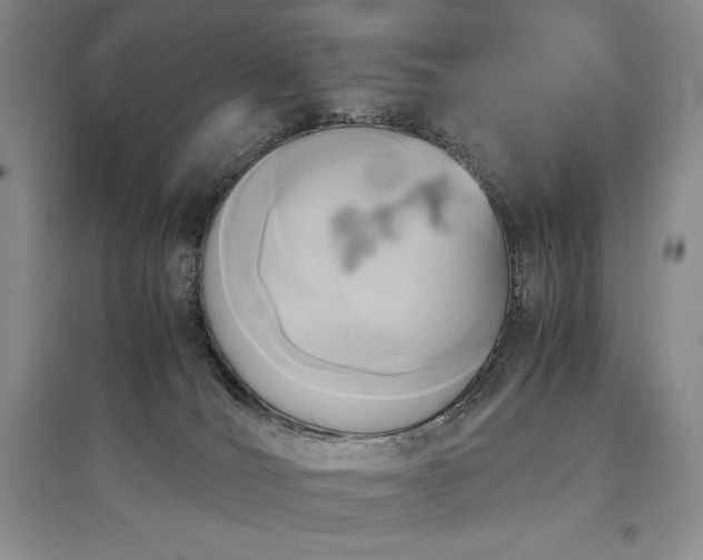 X0000097600036200803071438