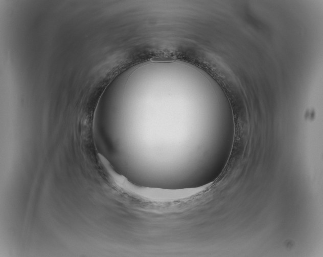 X0000097600037200803071438