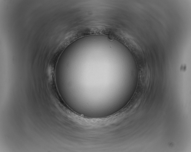 X0000097600038200803071438