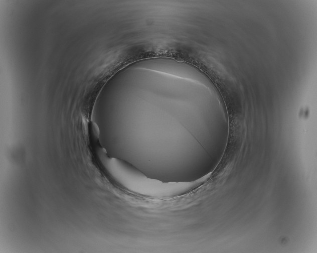 X0000097600039200803071438