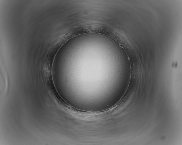 X0000097600040200803071438