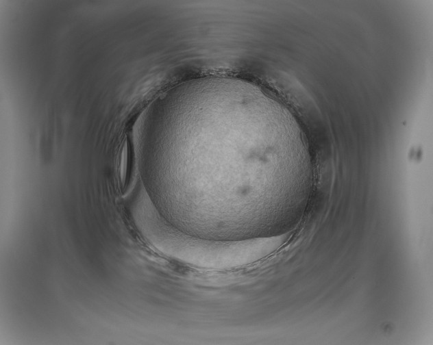 X0000097600041200803071438
