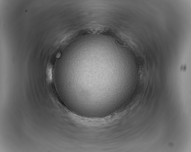 X0000097600042200803071438