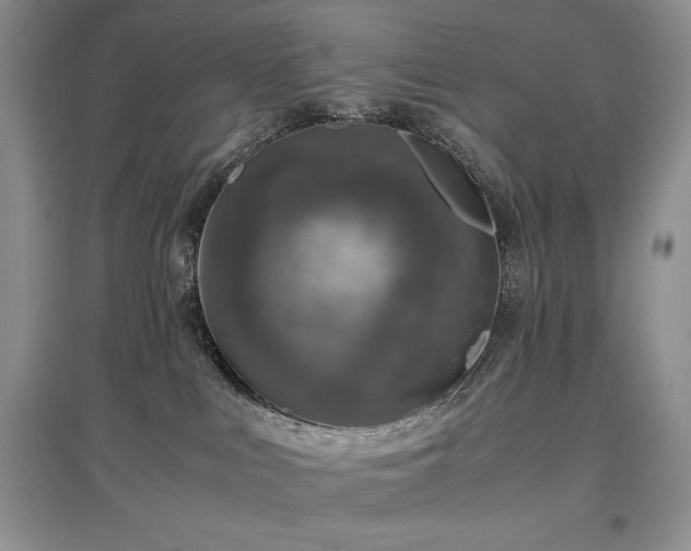 X0000097600043200803071438