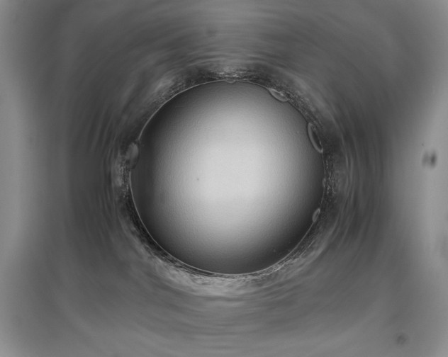 X0000097600044200803071438