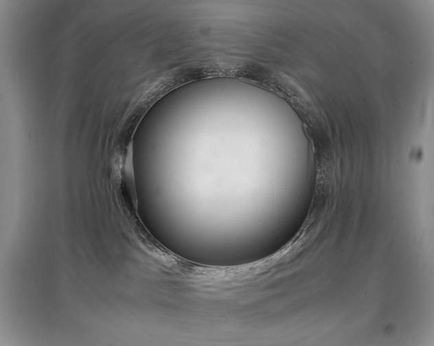 X0000097600045200803071438