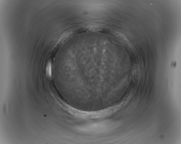 X0000097600046200803071438